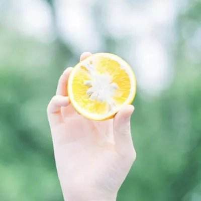 小熊工厂手机版下载