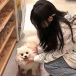 硬币宇宙手机版下载